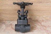 Forged steel gate valve SW end connection 800LB